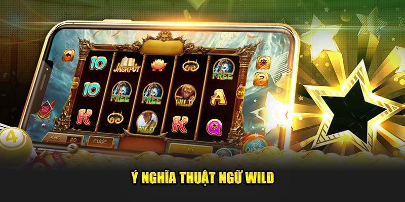 Ý nghĩa thuật ngữ Wild