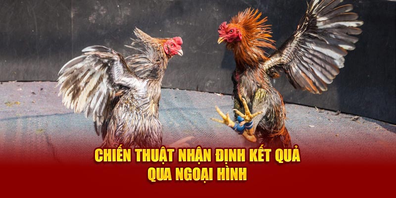 Chiến thuật nhận định kết quả qua ngoại hình 