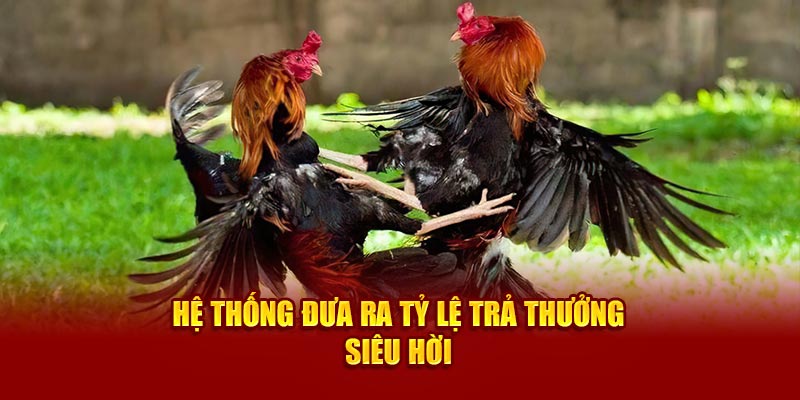 Hệ thống đưa ra tỷ lệ trả thưởng siêu hời 