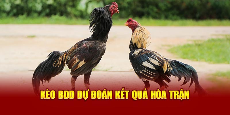 Kèo BDD dự đoán kết quả hòa trận 