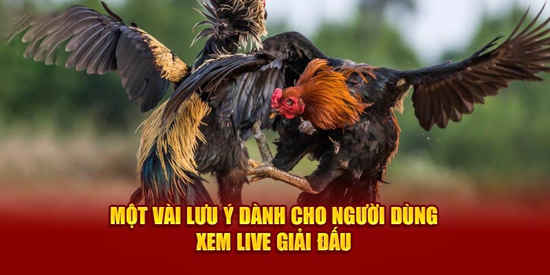 Một vài lưu ý dành cho người dùng xem live giải đấu 