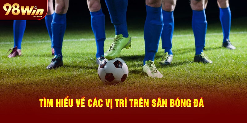 Tìm hiểu về các vị trí trên sân bóng đá 